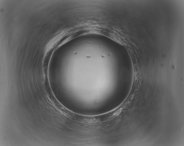 X0000056350245200508291329