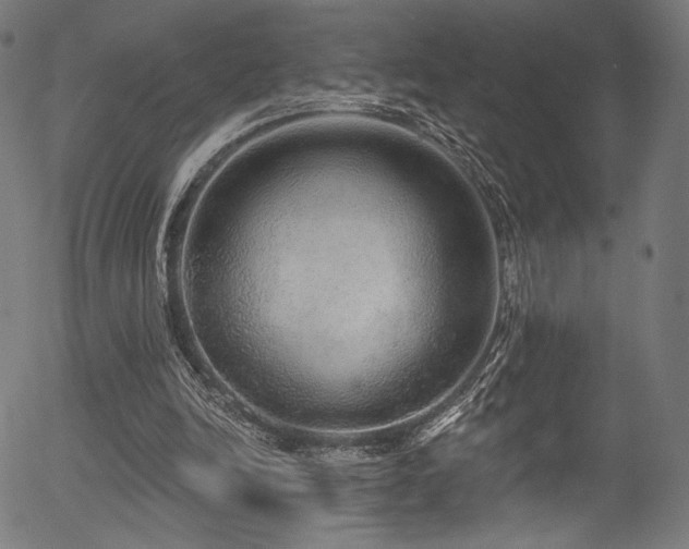 X0000056350246200508291329