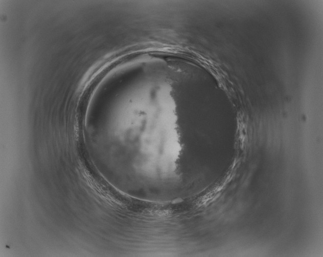 X0000056350247200508291329