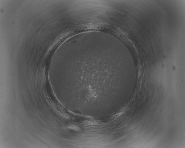 X0000056350250200508291329