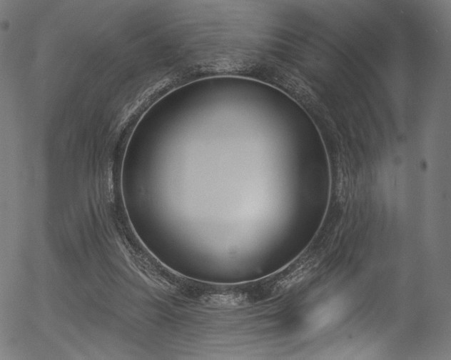 X0000056350251200508291329