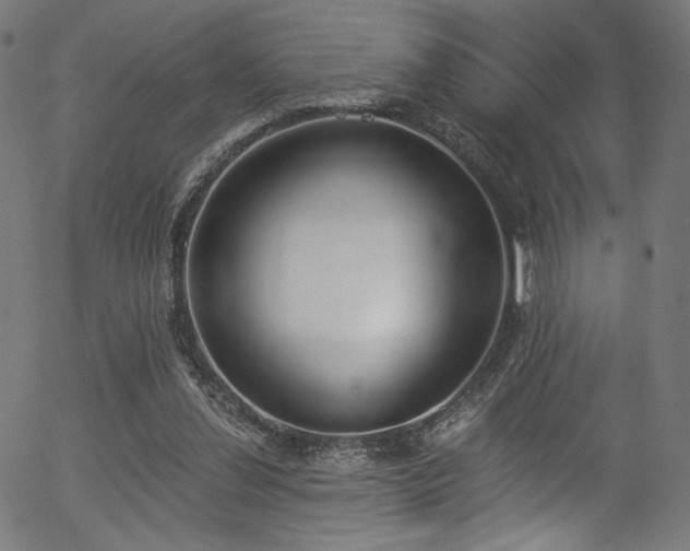 X0000056350252200508291329