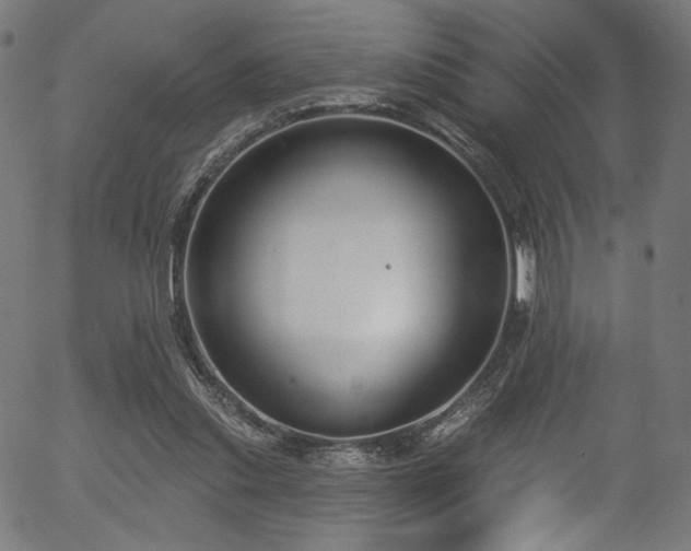 X0000056350253200508291329