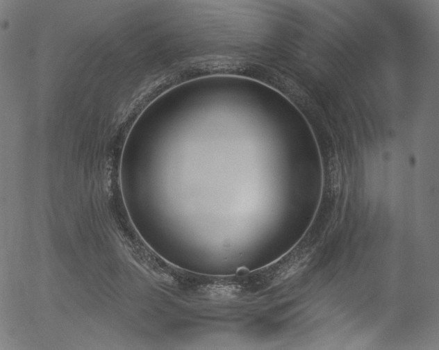 X0000056350255200508291329