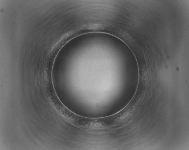 X0000056350256200508291329