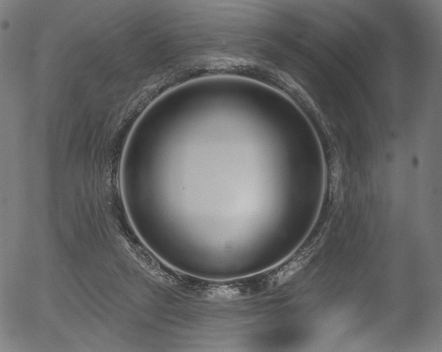 X0000056350257200508291329