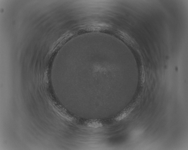 X0000056350258200508291330