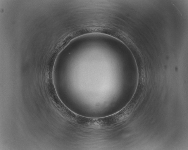 X0000056350259200508291330