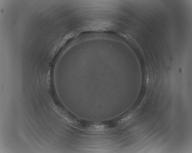 X0000056350260200508291330