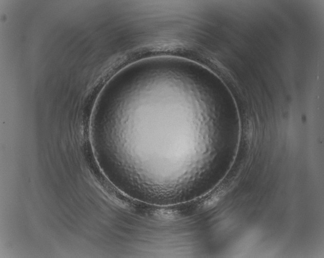 X0000056350261200508291330