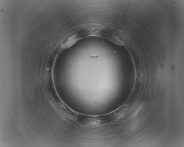 X0000056350263200508291330