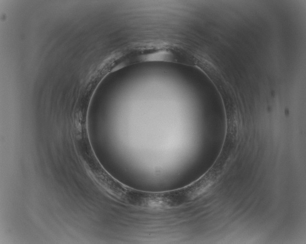 X0000056350264200508291330