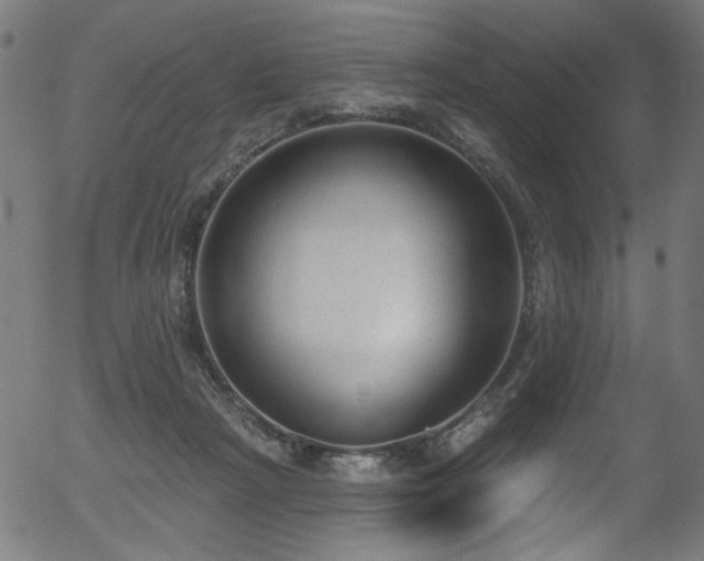 X0000056350265200508291330