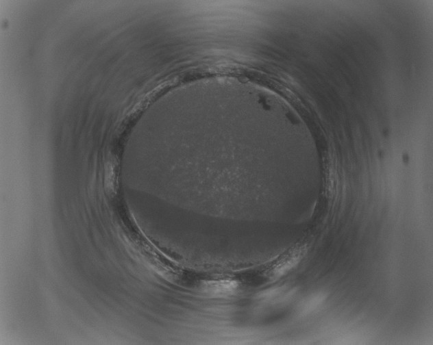 X0000056350266200508291330