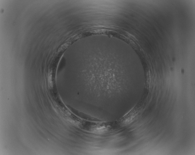 X0000056350267200508291330