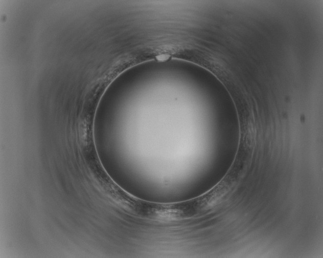 X0000056350268200508291330