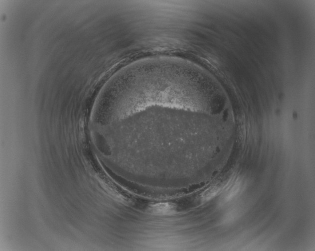 X0000056350269200508291330