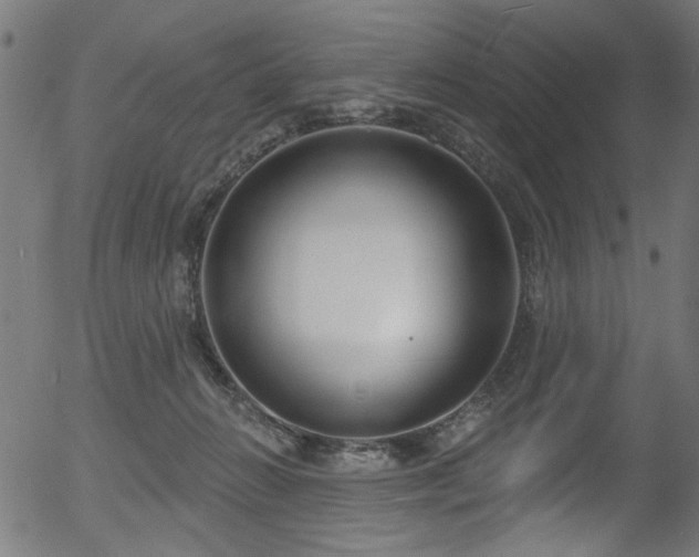 X0000056350270200508291330