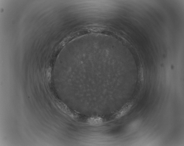 X0000056350271200508291330