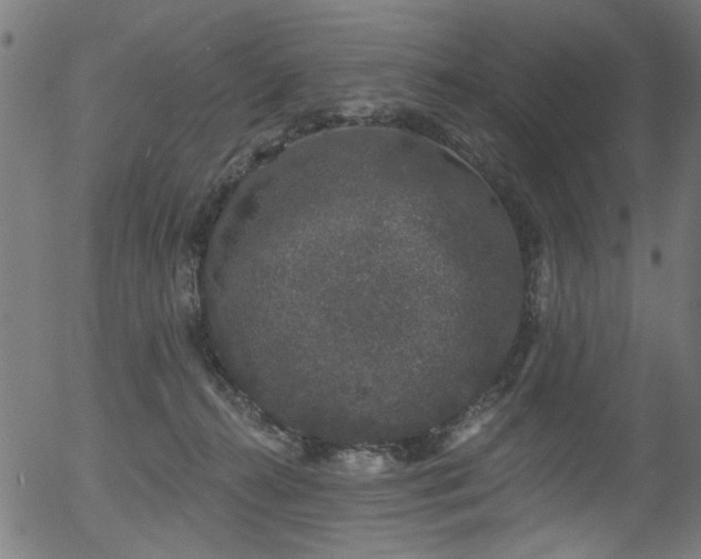 X0000056350272200508291330