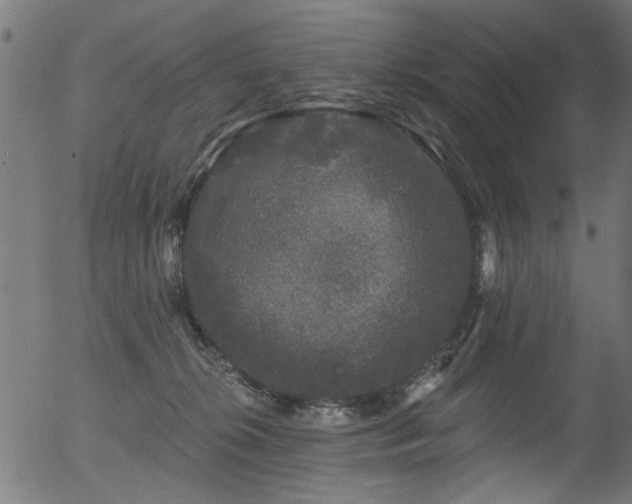 X0000056350276200508291330