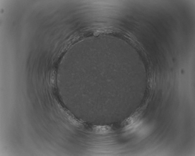 X0000056350277200508291330