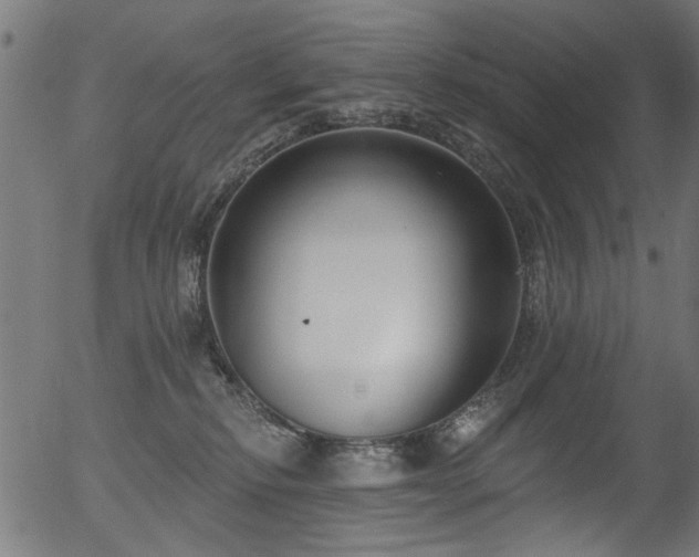 X0000056350278200508291330