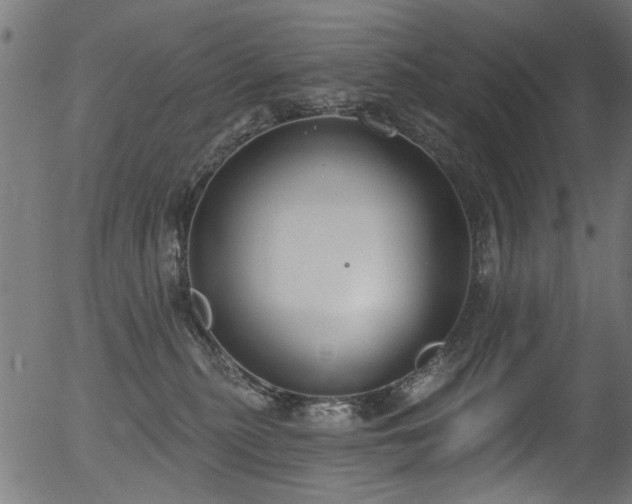 X0000056350279200508291330