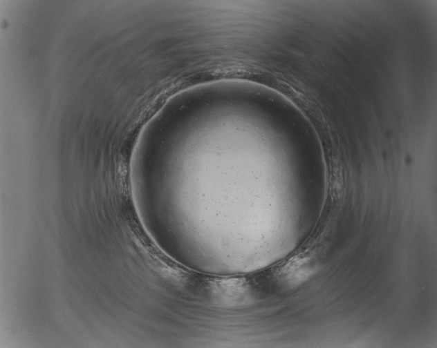 X0000056350281200508291330