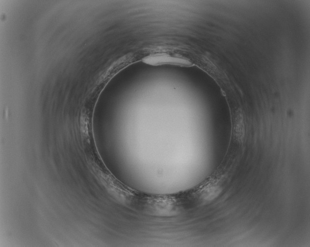 X0000056350282200508291330