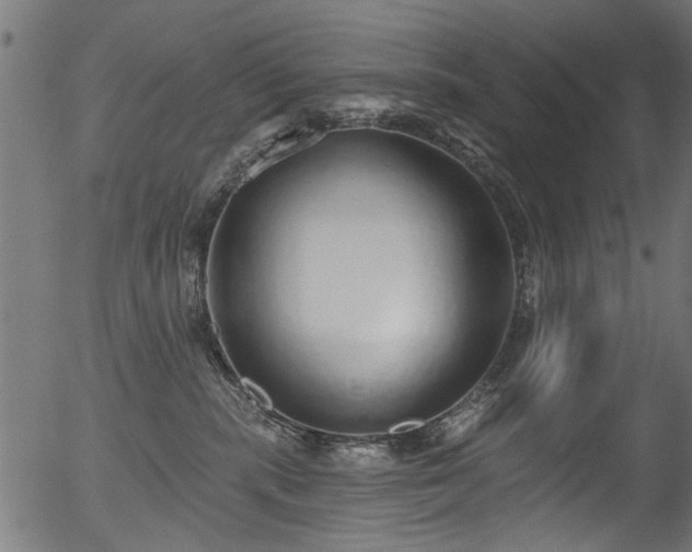 X0000056350283200508291330