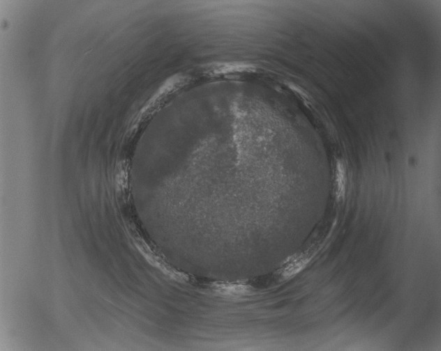 X0000056350284200508291330