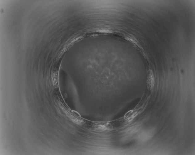 X0000056350285200508291330