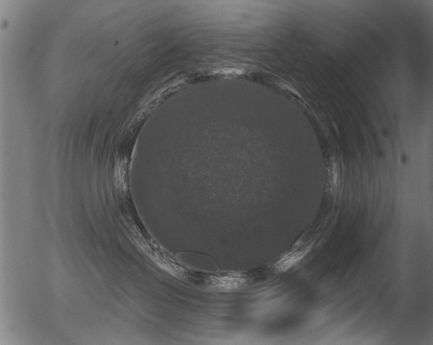 X0000056350286200508291330