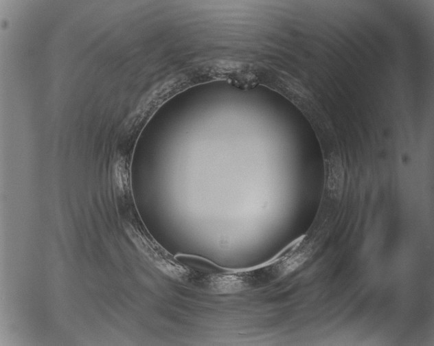 X0000056350287200508291330