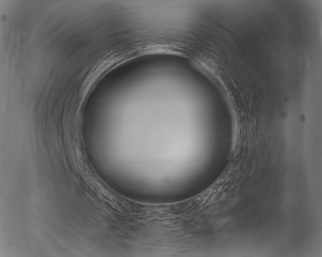 X0000056350289200508291329