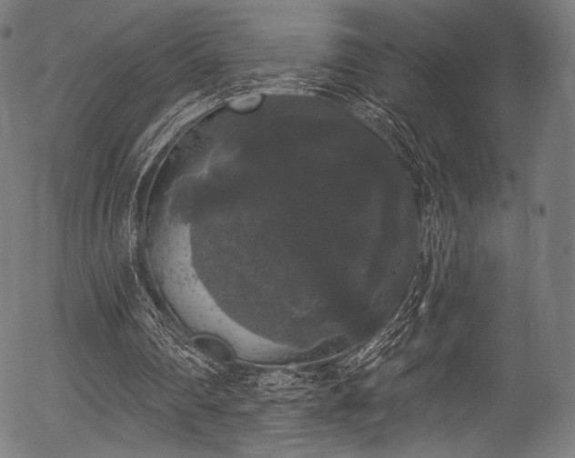 X0000056350290200508291329