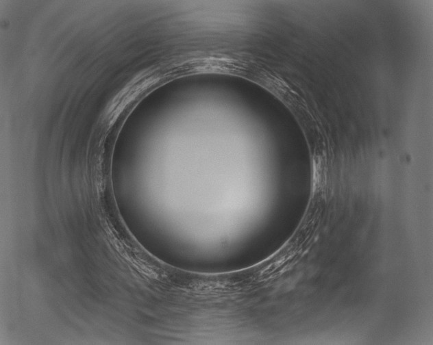 X0000056350291200508291329