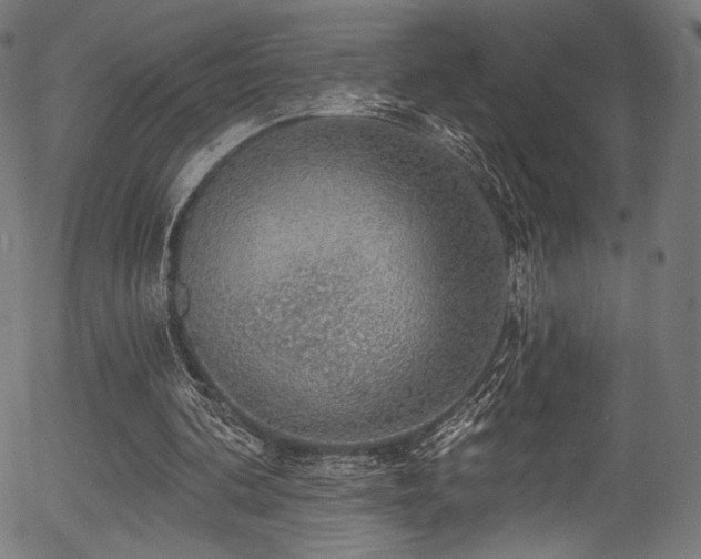 X0000056350292200508291329