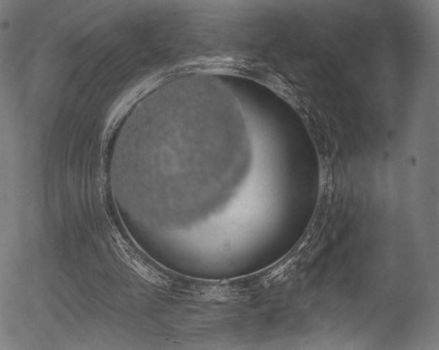 X0000056350293200508291329