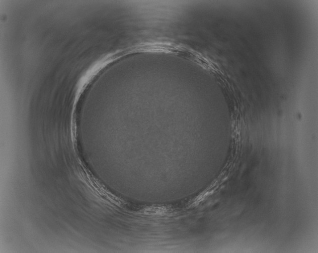 X0000056350294200508291329