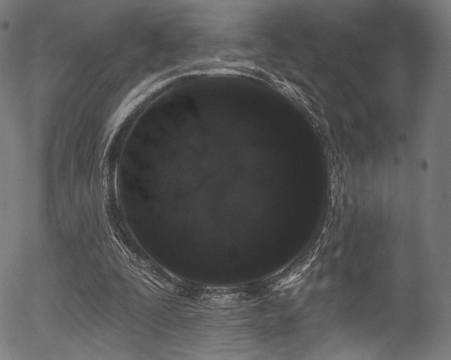 X0000056350295200508291329