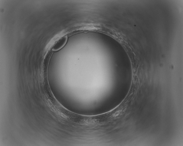 X0000056350296200508291329