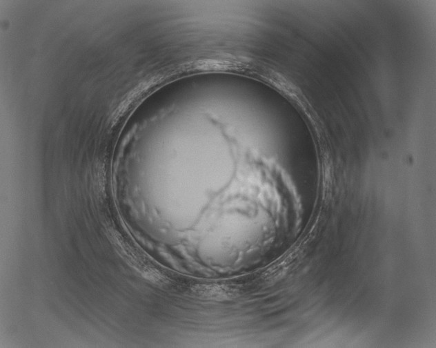 X0000056350297200508291329