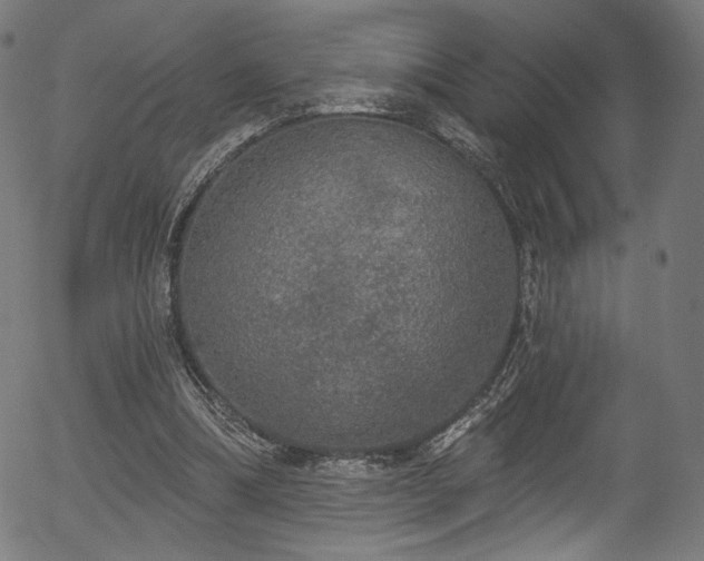 X0000056350298200508291329