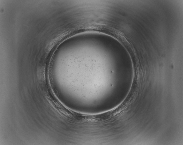 X0000056350299200508291329