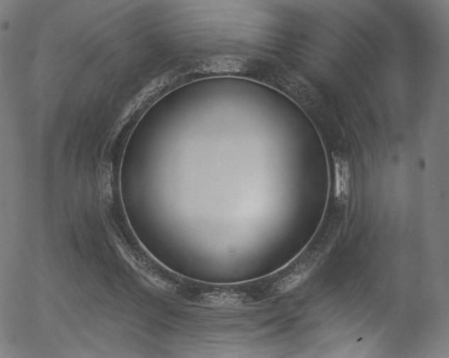 X0000056350300200508291329