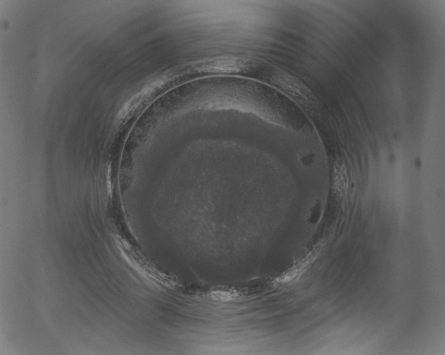 X0000056350302200508291329