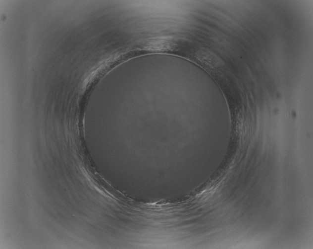 X0000056350303200508291329