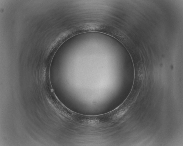 X0000056350304200508291329